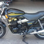 obrázok v rámci 27.YAMAHA YX 600 RADIAN po repase XWORK